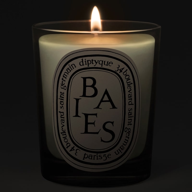 Diptyque Baies (Berries and Bulgarian Roses) Candle – Beautyhabit
