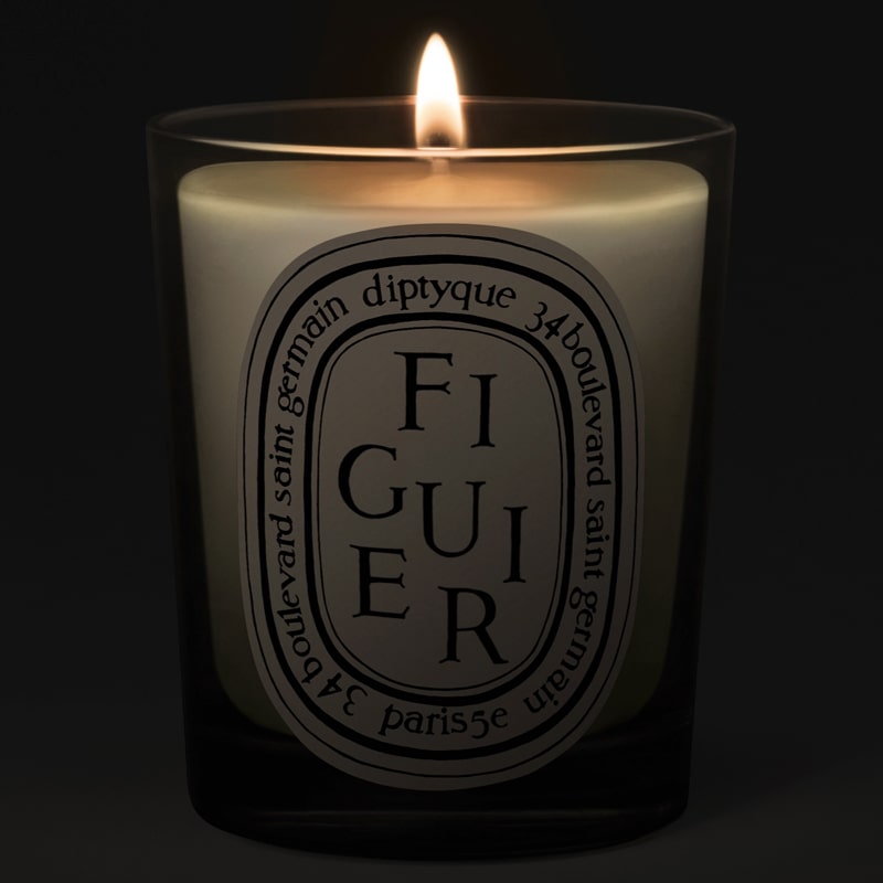 Diptyque Figuier (Fig) Candle – Beautyhabit