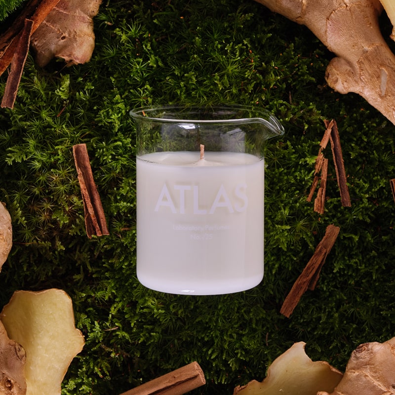 Lifestyle shot top view of Laboratory Perfumes Atlas Candle on grass with cinnamon sticks and ginger root in the background