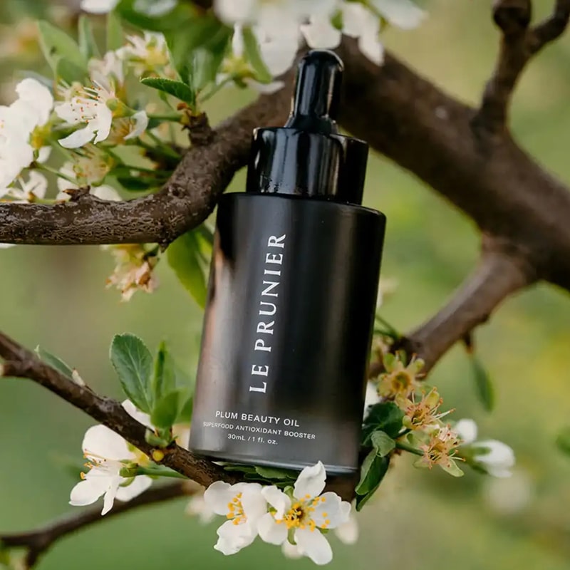 Lifestyle shot of Le Prunier Plum Beauty Oil (30 ml) bottle resting in tree branches with white flowers.