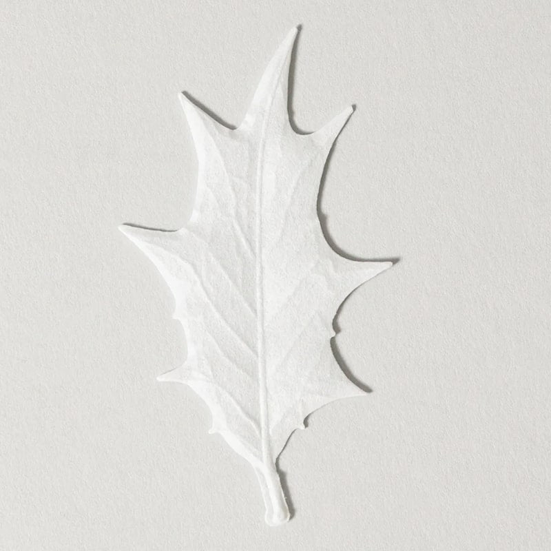 Morihata HA KO Paper Incense - Fir Tree - incense paper leaf