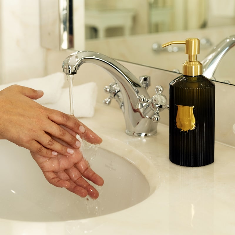 Trudon Vixi Hand Soap (350 ml) – Beautyhabit