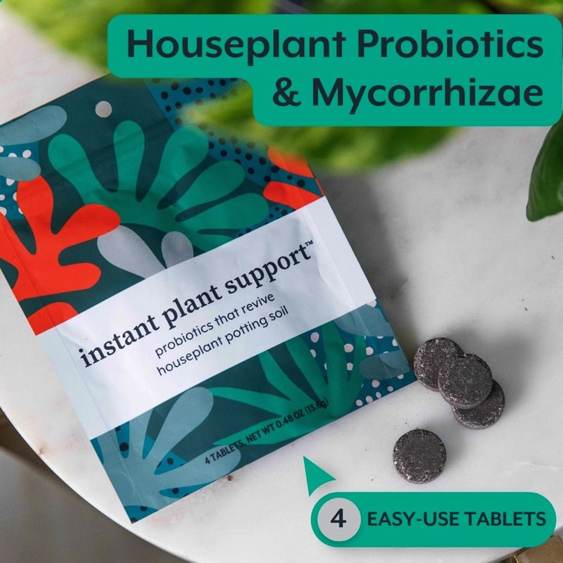 house plant food tablets Instant Plant Food Plant Support