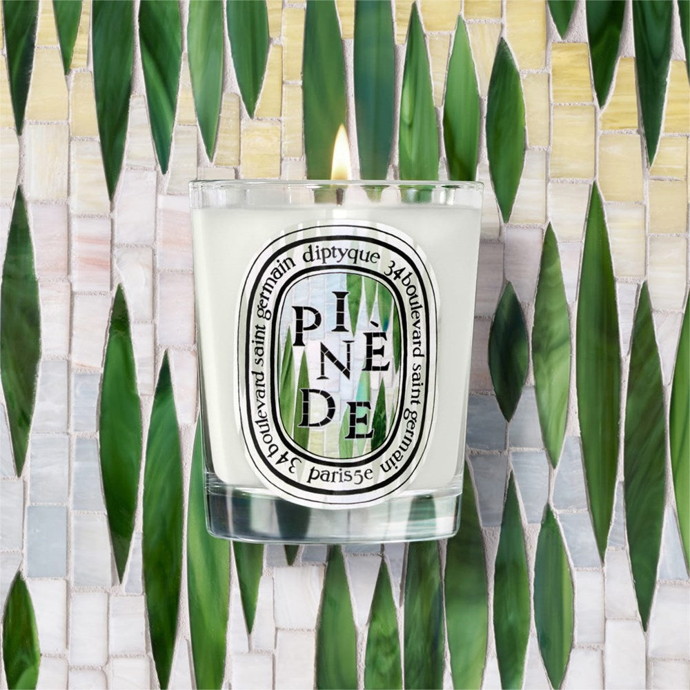 Diptyque Pinede (Pine Grove) Classic Candle (190 g) – Beautyhabit