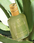Lifestyle shot of Ligne St. Barth Aloe Vera Gel with Mint (6.8 oz) with aloe vera in the background