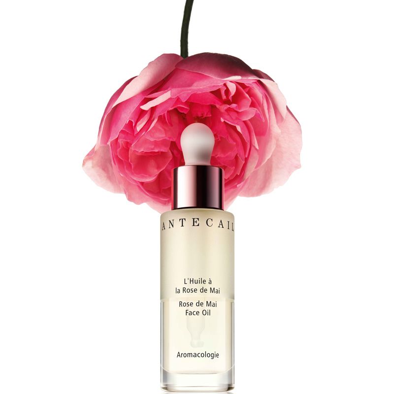 Chantecaille Rose de Mai Face Oil 30 ml – Beautyhabit