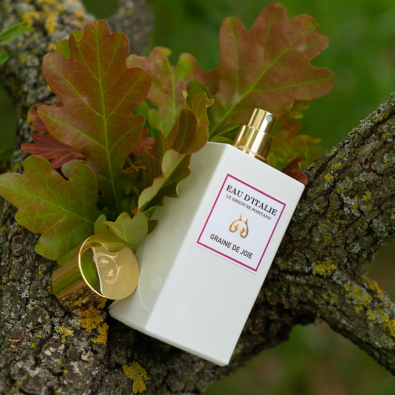 Lifestyle shot of Eau d'Italie Graine de Joie Eau de Parfum Spray (100 ml) with top off and nestled in tree with leaves in the background