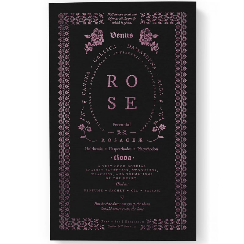Open Sea Rose Notebook (1 pc)