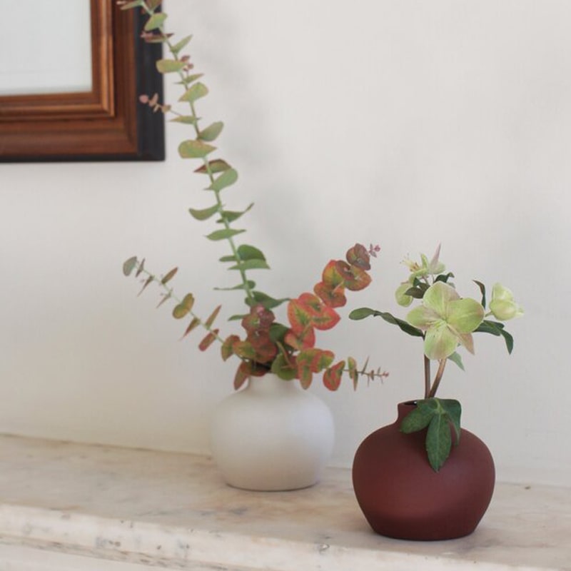 The Floral Society Ceramic Blossom Vase shown on a shelf with cuttings beside another vase (not included)