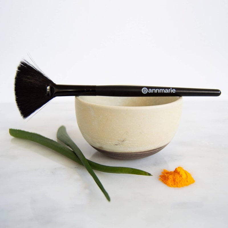 Annmarie Skin Care Mask Treatment Bowl &amp; Applicator Brush beauty shot with aloe vera leaves and curcumin