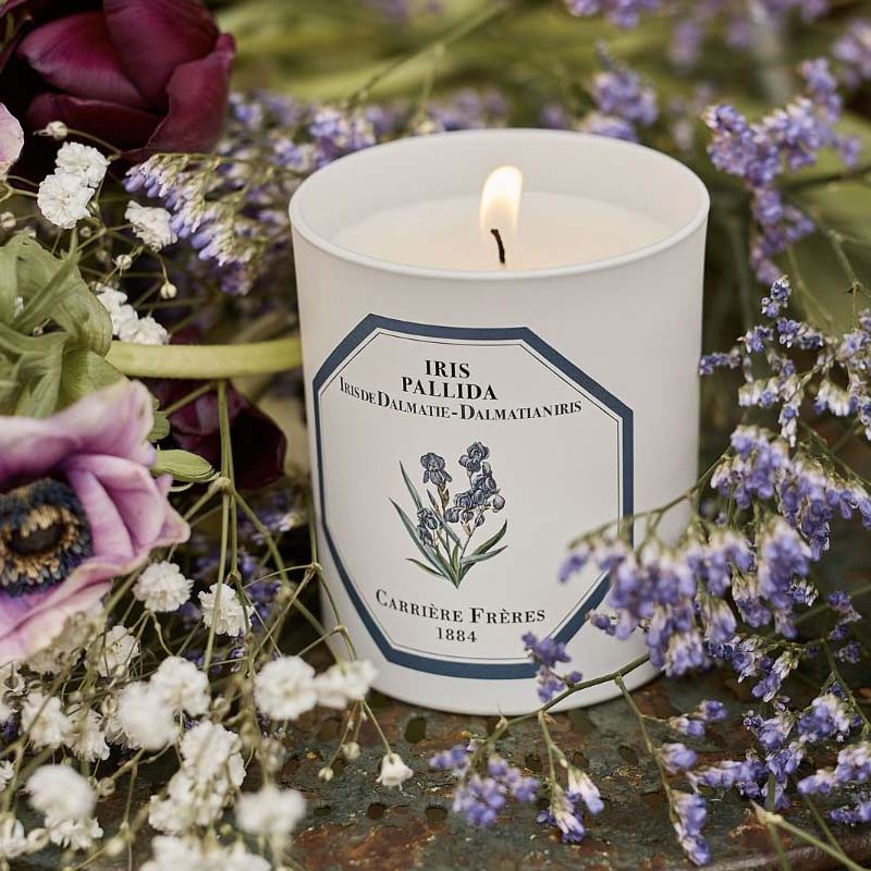 Carriere Freres Iris Candle surrounded by flowers