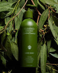 Lifestyle shot of Flamingo Estate Garden Essentials Hand Soap (500 ml) with leaves in the background