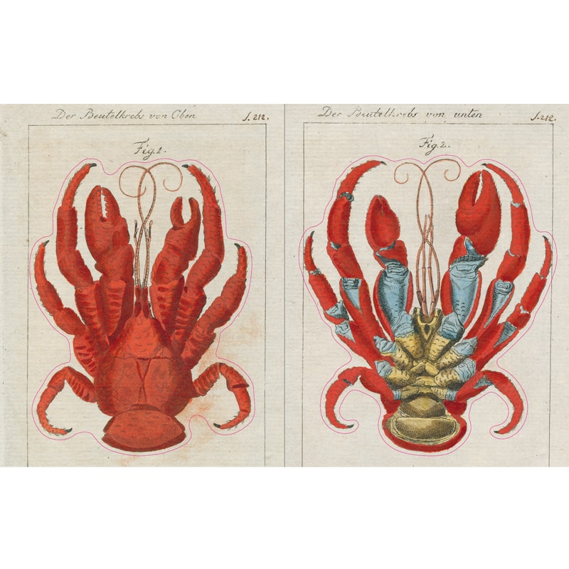 John Derian Paper Goods - John Derian Sticker Book - Crab stickers