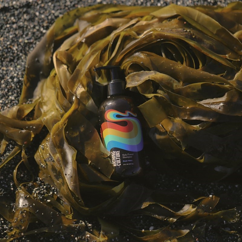 Bathing Culture Kelp Forest Shampoo - Break Water lifestyle shot, product shown with seaweed. 