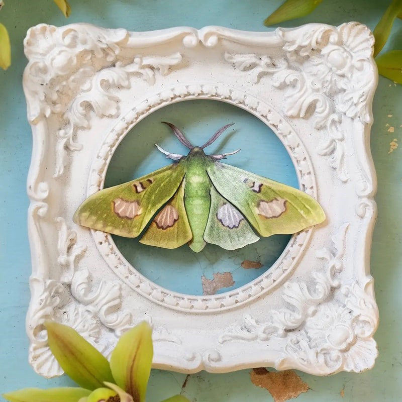 Moth & Myth Limelight Moth Set - Beauty shot, product displayed on ceramic frame
