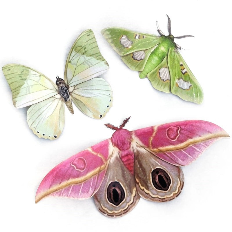 Moth & Myth Limelight Moth Set (3 pcs)