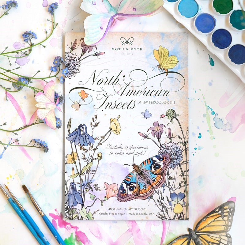 Moth & Myth North American Insect Watercolor Kit - Product displayed with watercolors and brushes.