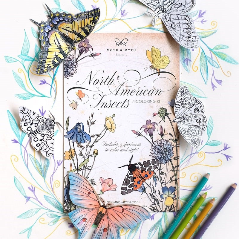 Moth & Myth North American Insect Coloring Kit - Product displayed with insects and colored pencils. 