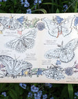 Moth & Myth North American Insect Coloring Kit- Product displayed open on top of flowers. 