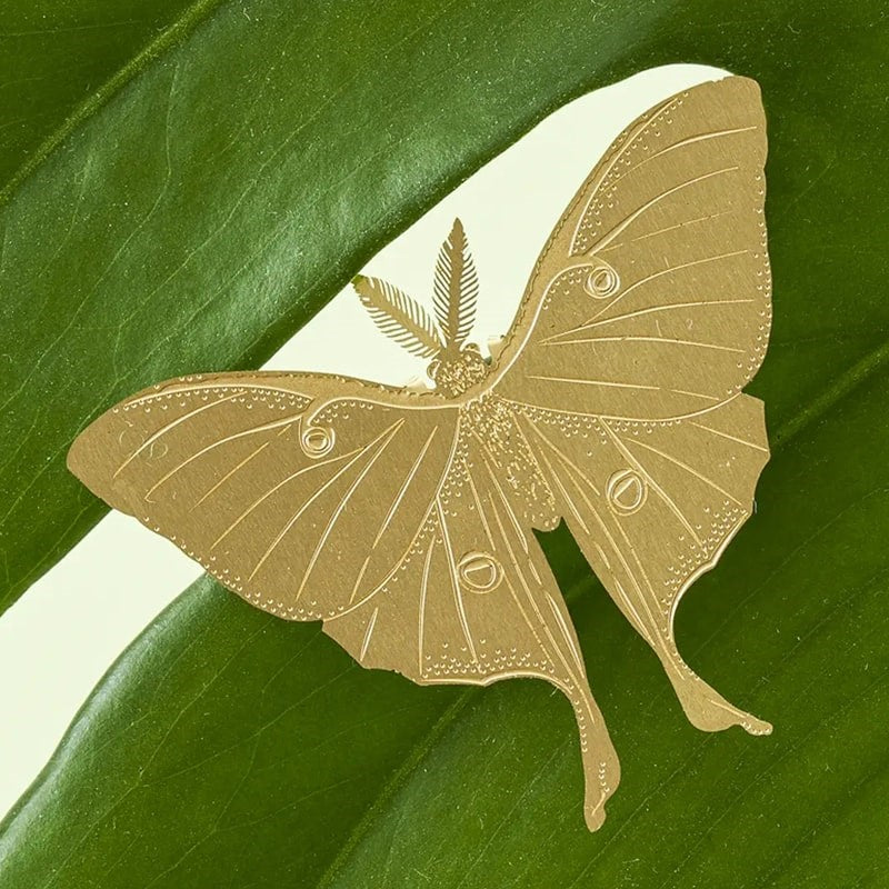 Another Studio Plant Animal Decoration - Luna Moth - Product displayed on leaf