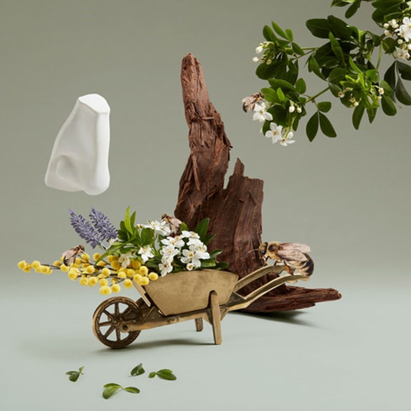 Penhaligon's Highgrove Bouquet Eau de Parfum – Beautyhabit