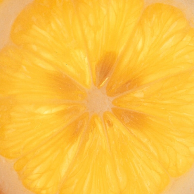 Marmalade Grove Meyer Lemon &amp; Honey Marmalade - Closeup of lemon slice