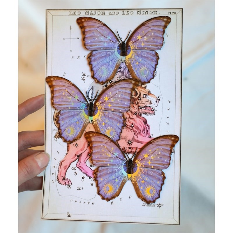 Moth & Myth Celestial Beings Morpho Paper Butterfly Set - Product shown in models hand