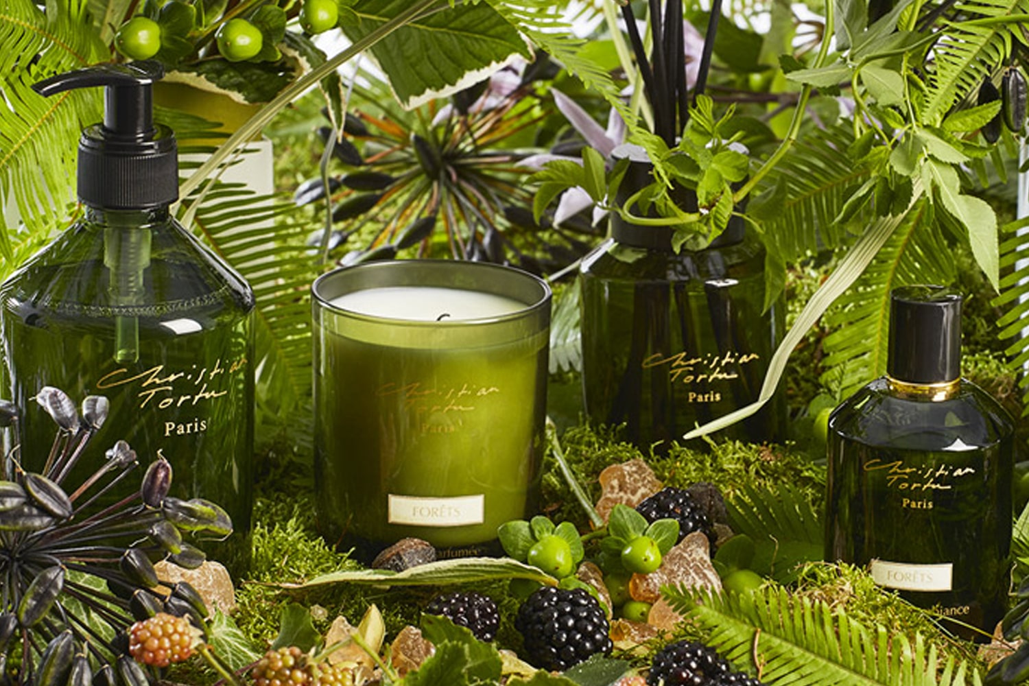 A lifestyle shot of a selection of Christian Tortu Forest Collection products