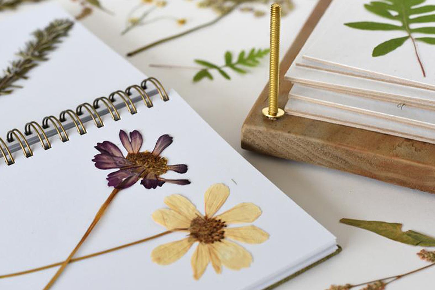 Beauty shot of June & December Heirloom Flower Press