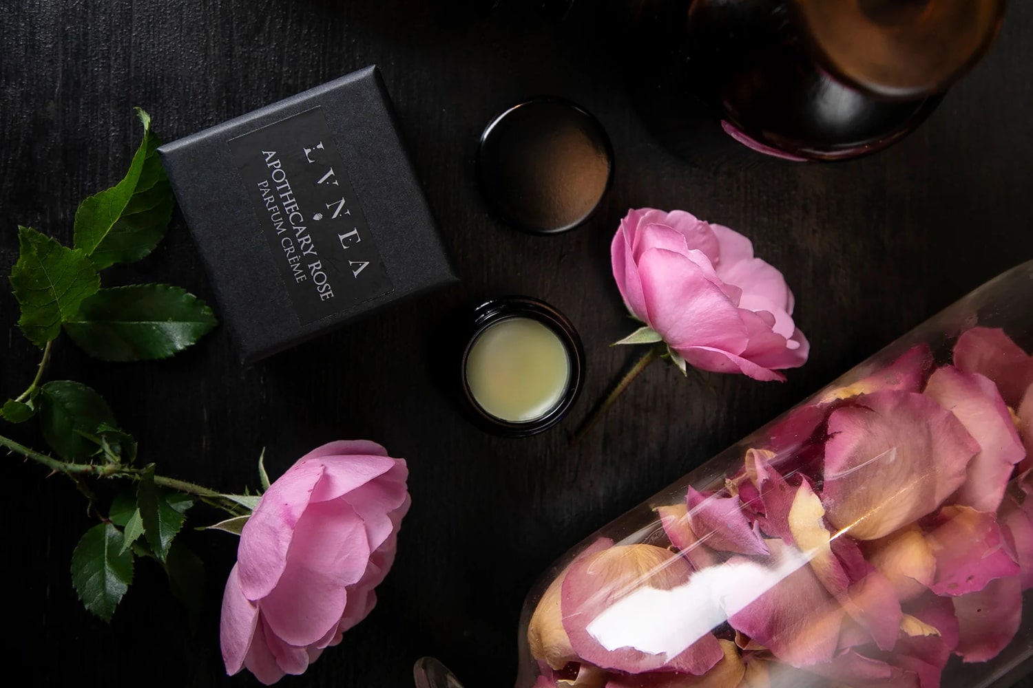 Lifestyle top view shot of Lvnea Perfume Apothecary Rose Parfum Creme box with jar open and pink roses in the background