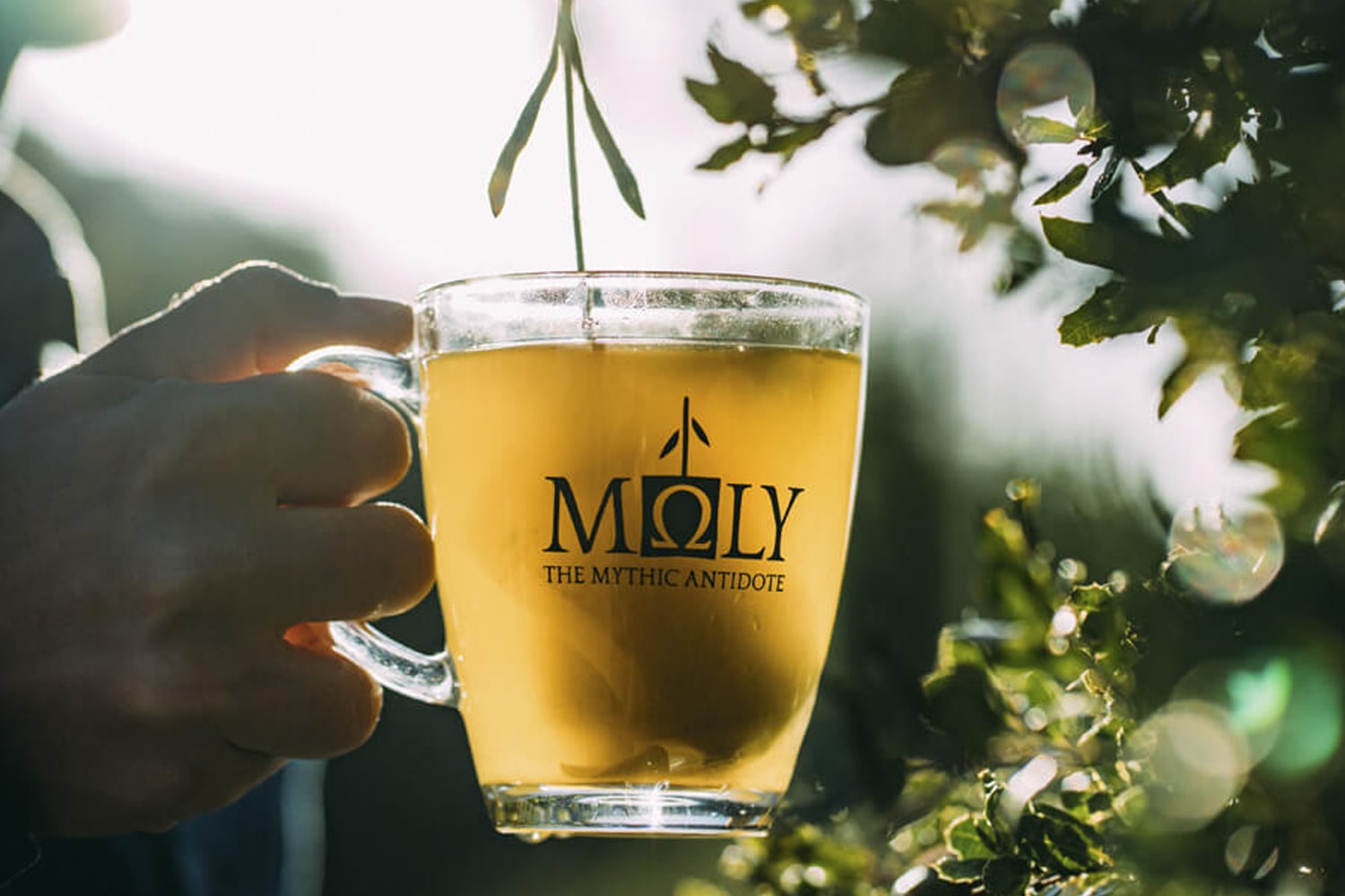 Moly the Mystic Antidote Tea in a glass tea cup