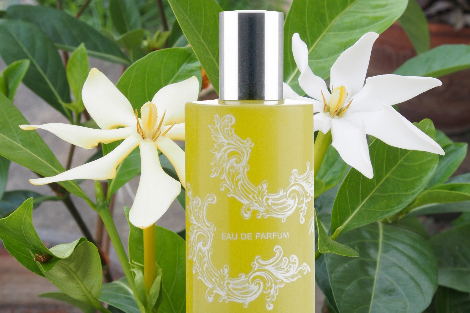 Monyette Paris Eau de Parfum bottle with Tahitian Gardenia in the background
