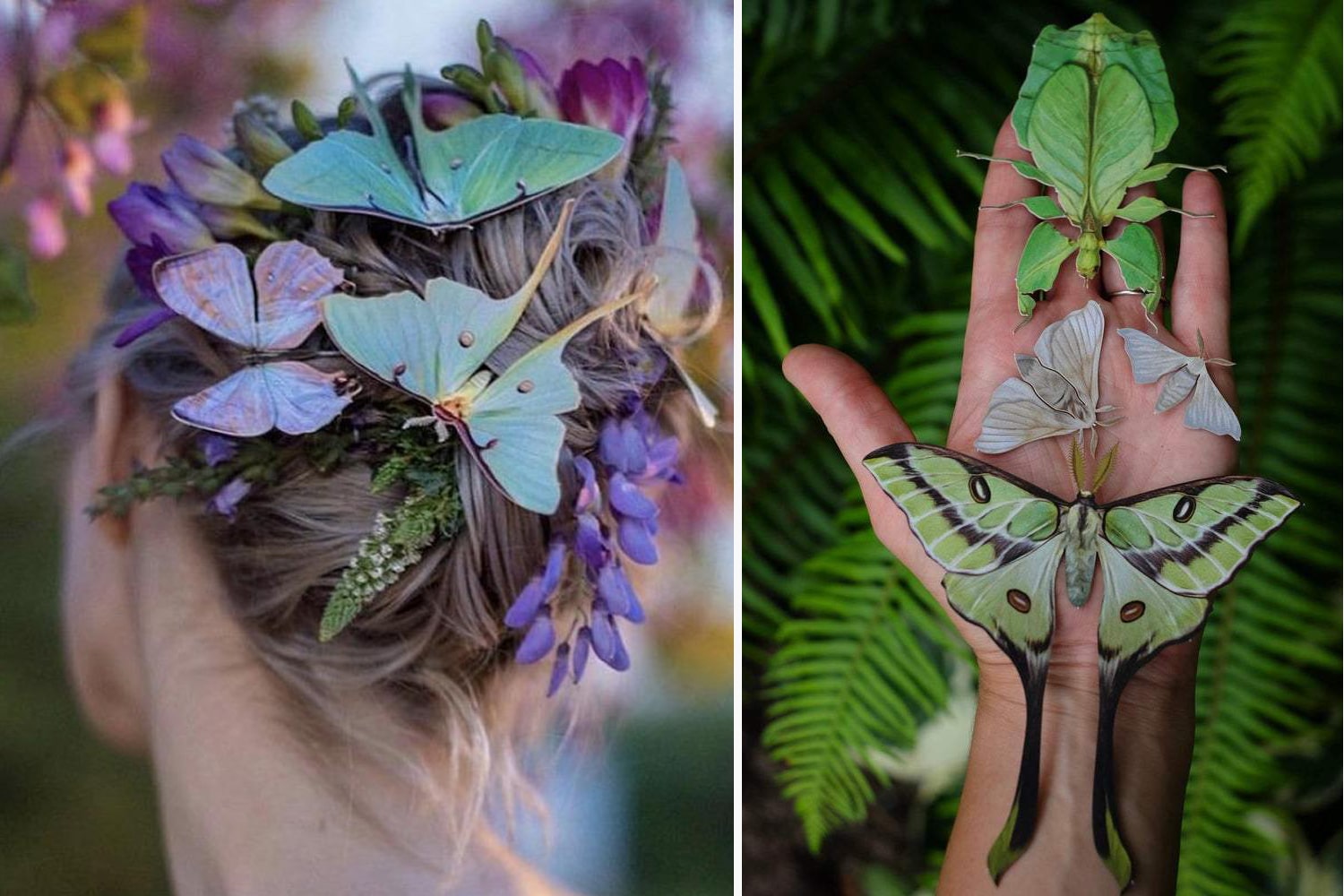 Moth and Myth paper insect kits "Spring Luna Moth Set" and "Leaf Besanti Moth and Leaf Insect Set"