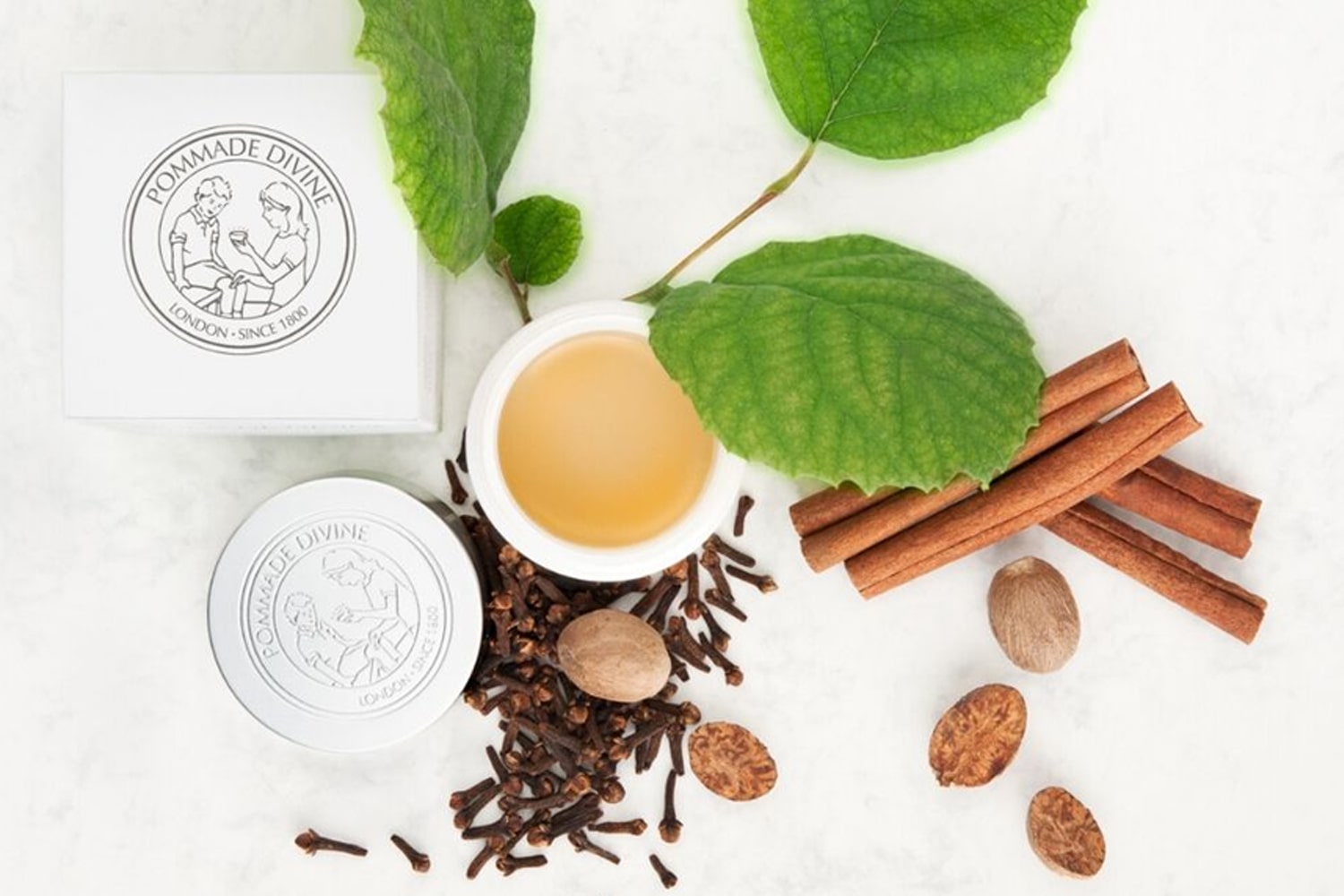 Top view lifestyle shot of Pommade Divine Natures Remedy Balm shown with various ingredients