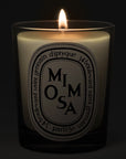  Diptyque Mimosa Candle - lit candle shown