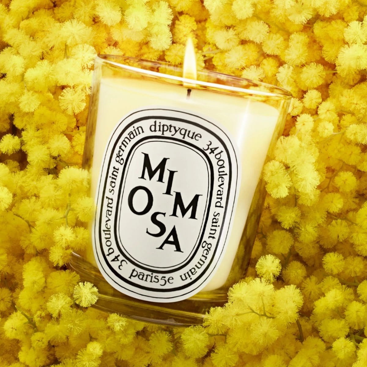  Diptyque Mimosa Candle (190 g) - product shown on top of bright yellow flowers. 