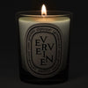 Diptyque Verveine (Verbena) Candle - lit candle shown