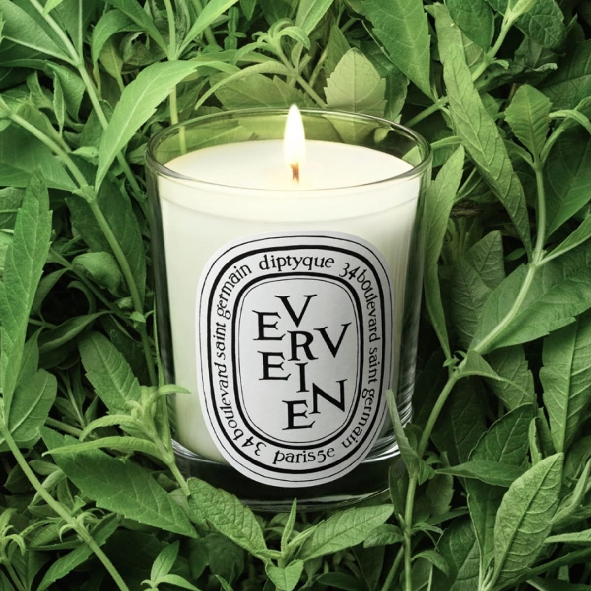 Lifestyle shot of Diptyque Verveine (Verbena) Candle (190 g) with Verbena in the background