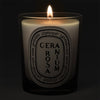 Diptyque Geranium Rosa Candle - candle shown lit