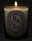 Diptyque Baies (Berries and Bulgarian Roses) Candle - lit candle shown
