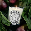 Diptyque Figuier (Fig) Candle (190 g) - product shown on figs. 
