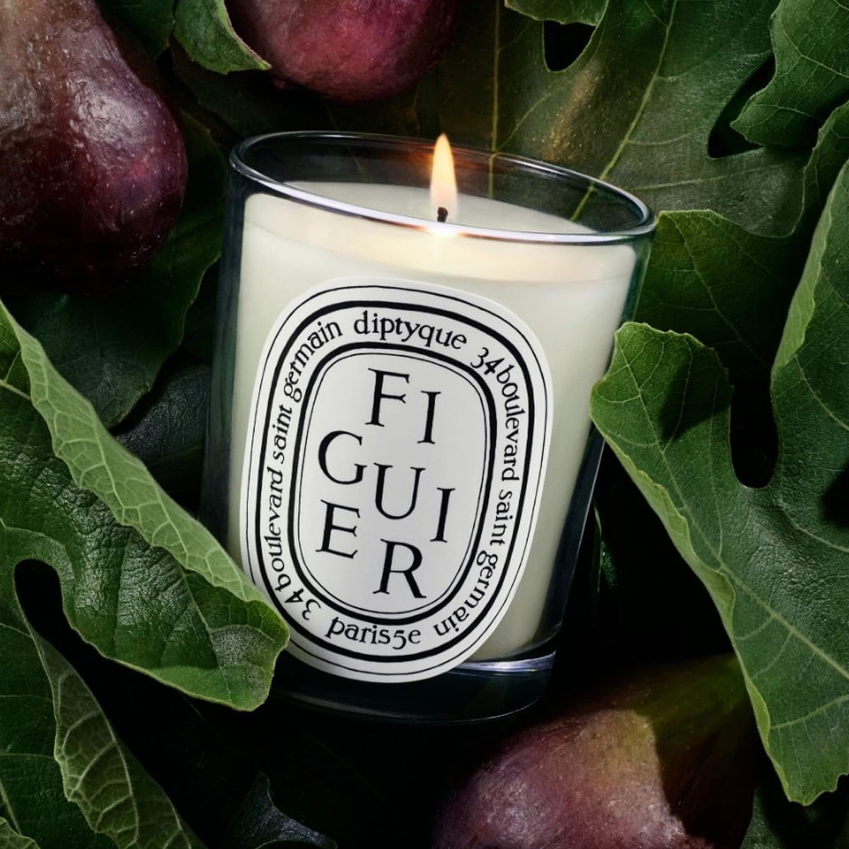 Diptyque Figuier (Fig) Candle (190 g) - product shown on figs. 