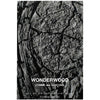 Comme des Garcons Wonderwood Eau de Parfum (100 ml) box