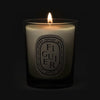 Diptyque Figuier (Fig Tree) Candle (70 g) shown lit