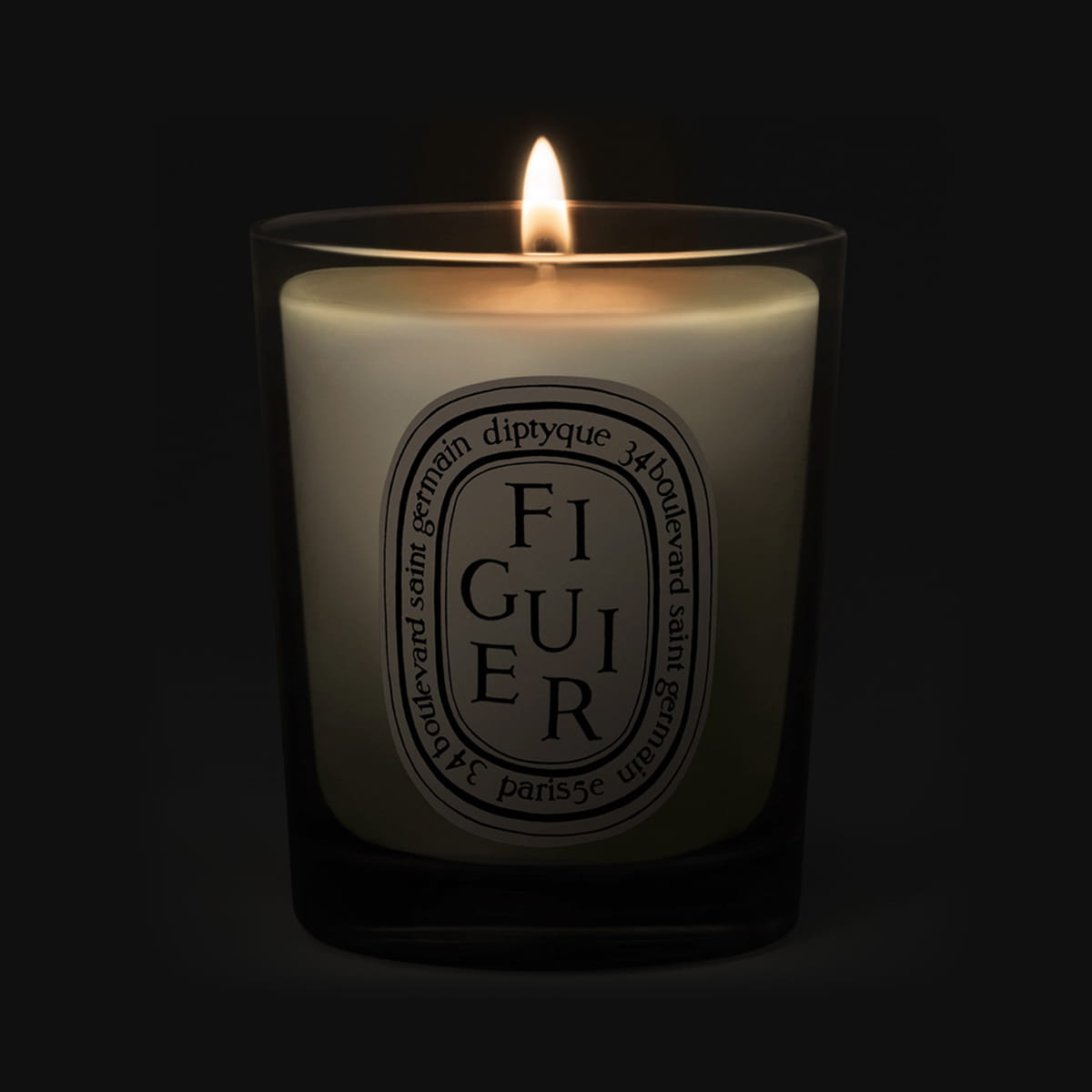 Diptyque Figuier (Fig Tree) Candle (70 g) shown lit