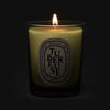 Diptyque Feu de Bois (Wood Fire) Candle (70 g) shown lit