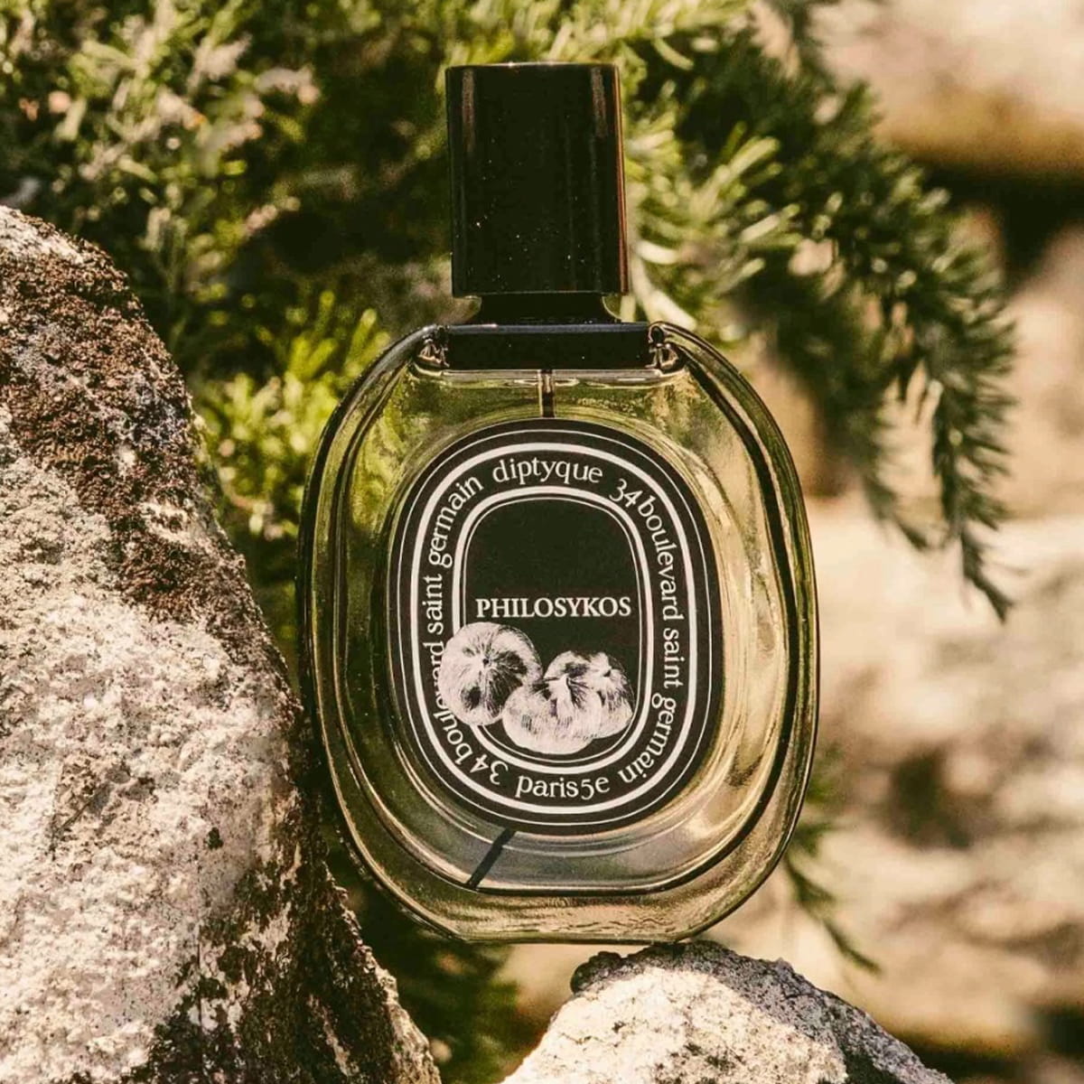 Diptyque Philosykos Eau de Parfum Spray 75 ml - product shown on top of rocks. 
