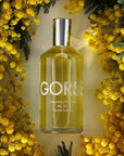 Lifestyle shot top view of Laboratory Perfumes Gorse Eau de Toilette with yellow flowers in the background