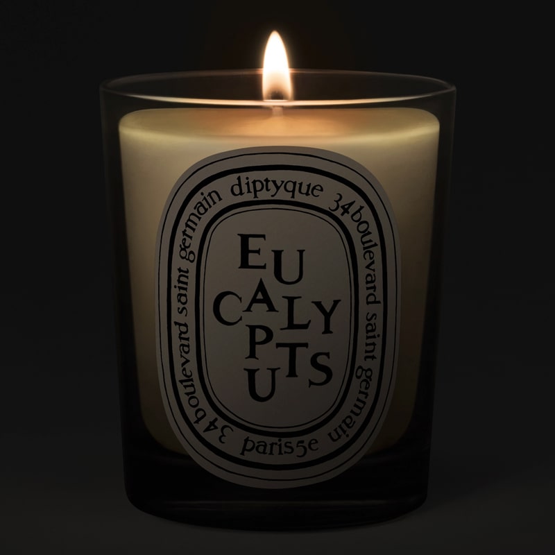 Diptyque Eucalyptus Candle - lit candle shown