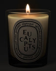 Diptyque Eucalyptus Candle - lit candle shown